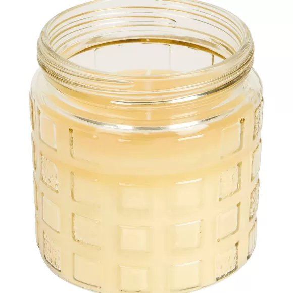Merk Tuindecoratie>Citronellakaars In Pot