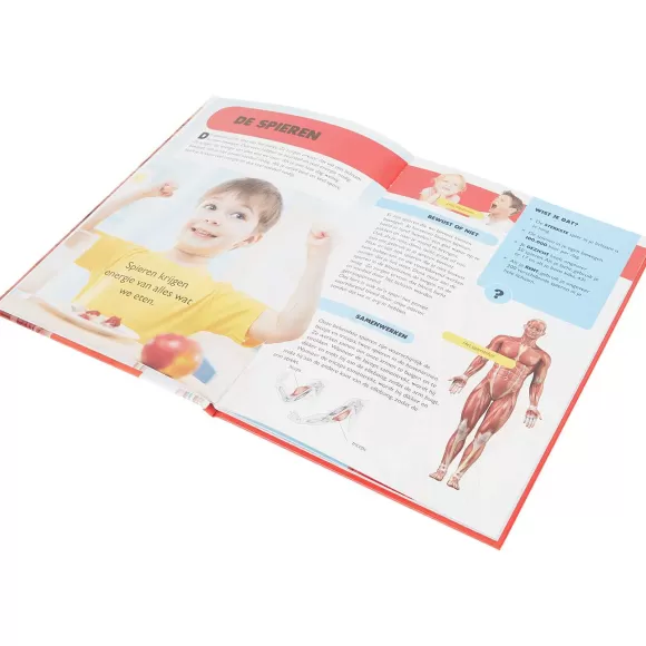 Paw Patrol Kleuren & Tekenen>Ontdekkingsboek
